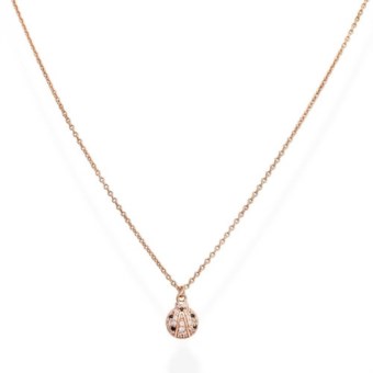 COCCINELLE cllarzbn