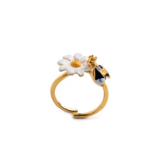 Anello