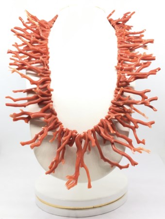 Corallo 11455