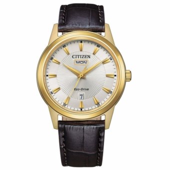 CLASSIC aw0102-13a
