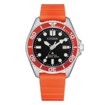 PROMASTER bn0268-01e