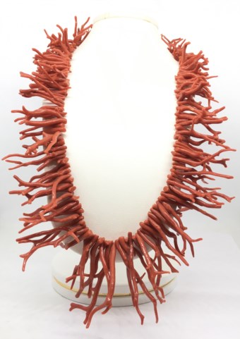 Corallo