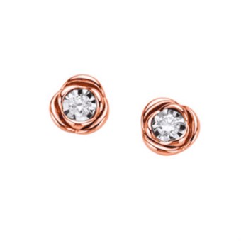 donna oro SEGNI dhol8326.006