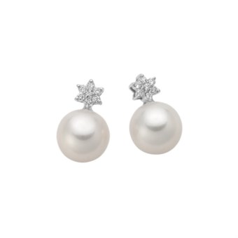 SELENE lop10485.010