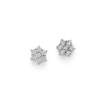 Vivace lof10519.006