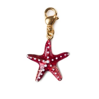 CHARM