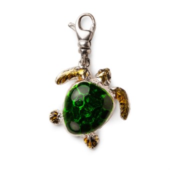 CHARM