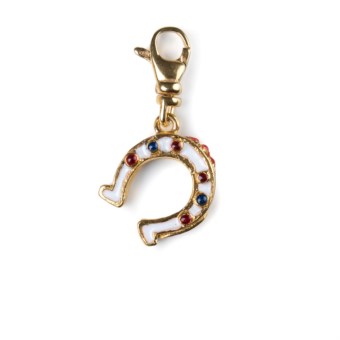 CHARM