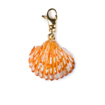 CHARM