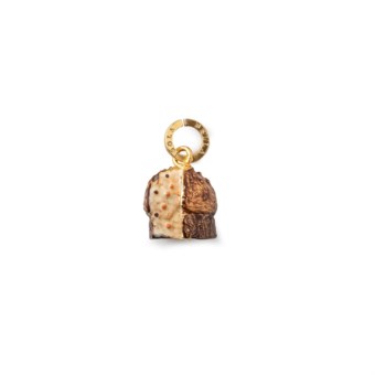 Charm 20001110