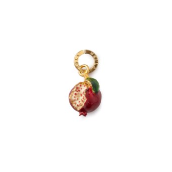 Charm 20001113