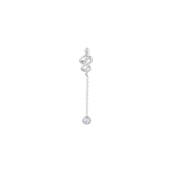 Earrings ok1500