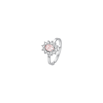 RING ank543